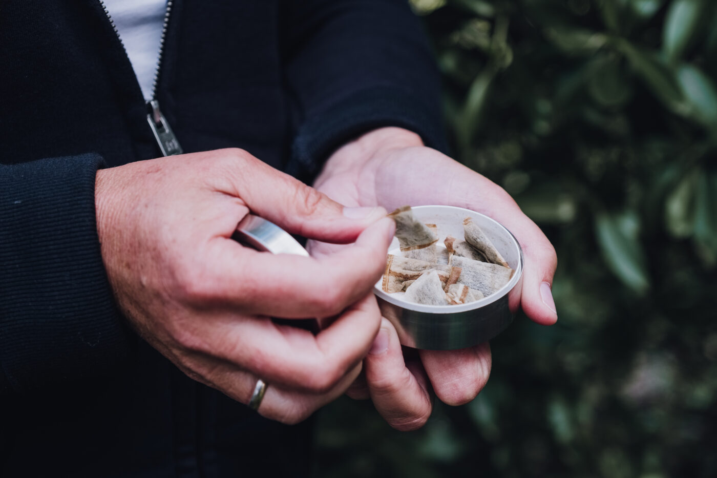 Hands picking up a portion of snuff, snus nicotin pad from the box